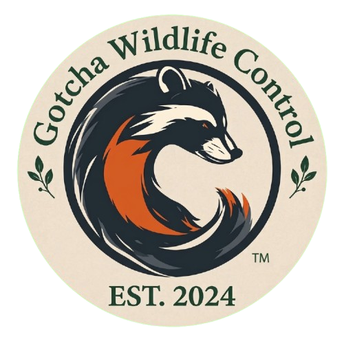 Gotcha Wildlife Control